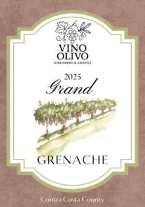 Wine Premium Labels Vintage (3.5 x 5 in) (3 x 4 in) (3.5 x 5 in)