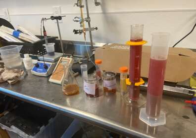 Good things take time—or so the story goes. Especially with reds.